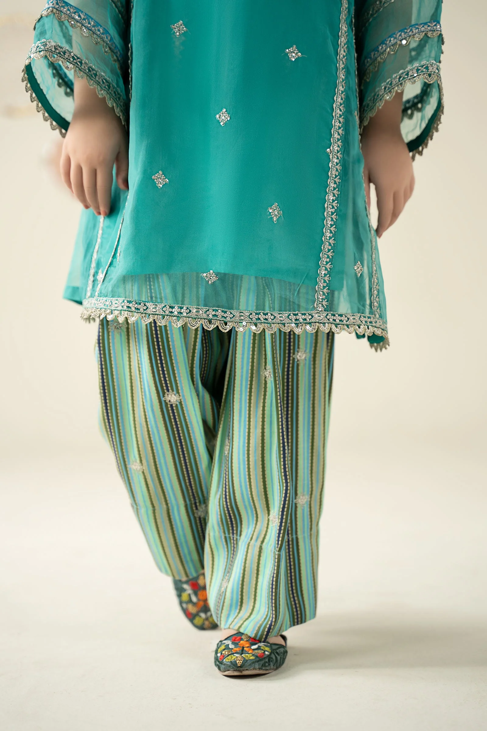2 Piece Embroidered Organza Suit