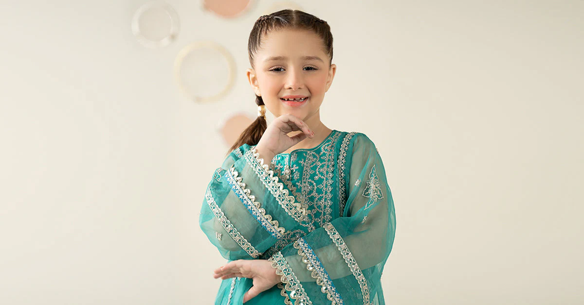 2 Piece Embroidered Organza Suit