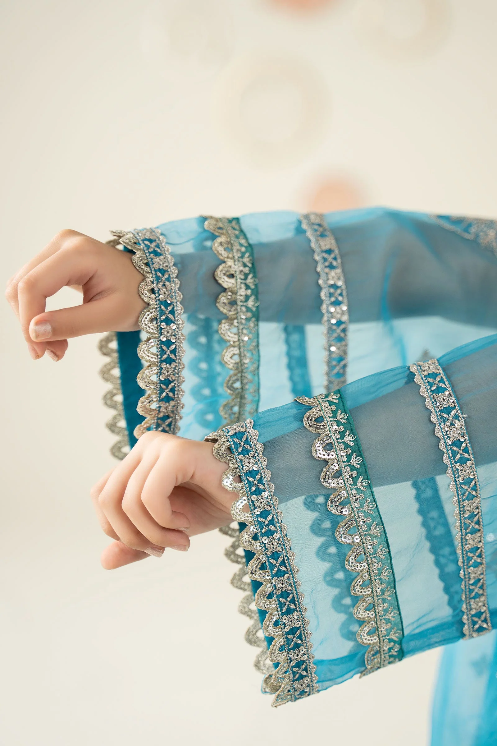 2 Piece Embroidered Organza Suit