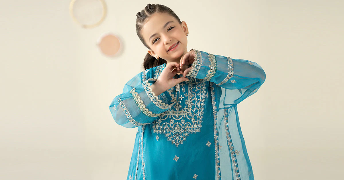 2 Piece Embroidered Organza Suit