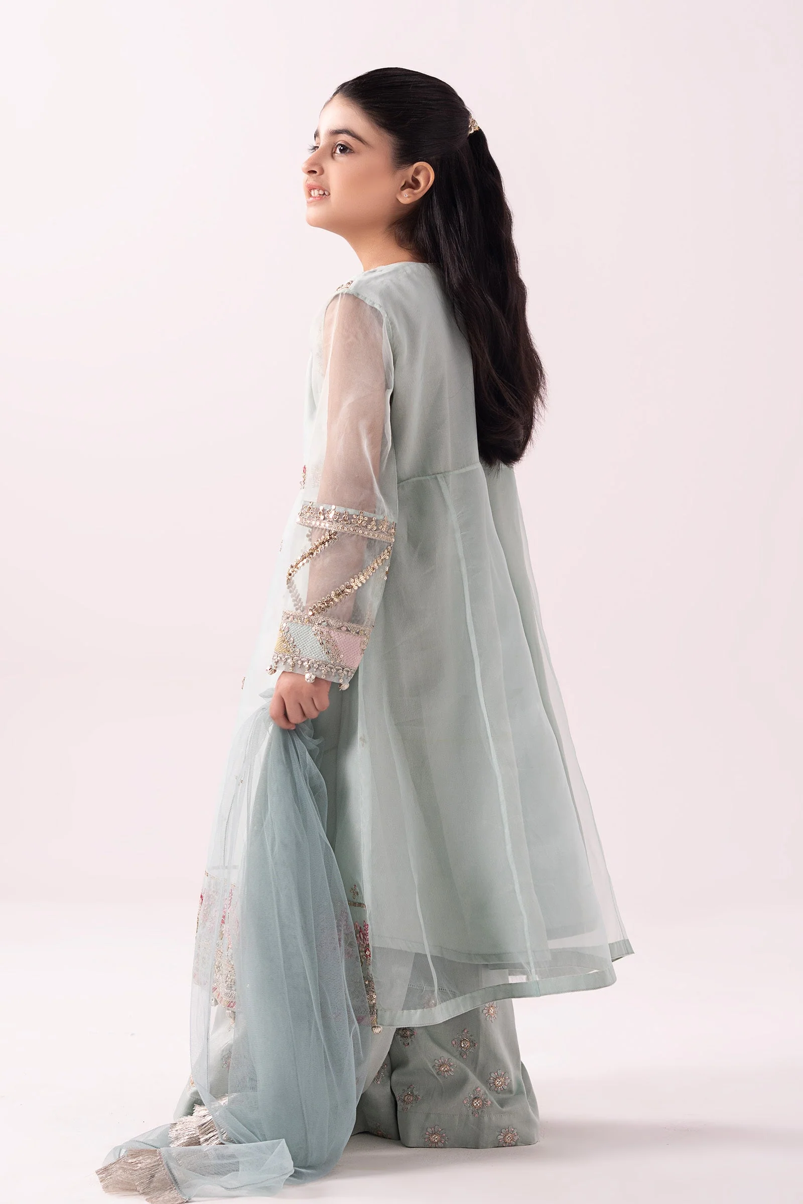 3 Piece Embroidered Organza Suit 205 3 Piece Embroidered Organza Suit